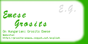 emese grosits business card